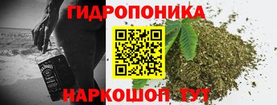 прущие грибы Гулькевичи