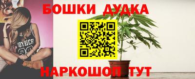 гидра Гуково